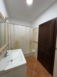 a bathroom with a sink and a shower at Sol de Ancha in Carmona