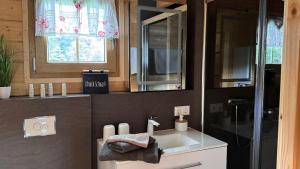 a bathroom with a white sink and a window at Haeuslein-Waldesruh in Muldenberg