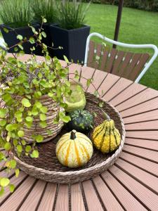 a basket of pumpkins sitting on a wooden table at Winding B&B Silkeborg in Silkeborg