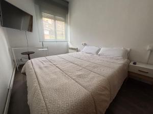 a bedroom with a bed and a tv on the wall at Norte Astur in Langreo