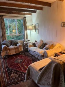 a living room with two couches and a window at Casa Krampus Hospedaje y Cervecería in Valdivia +3 photos