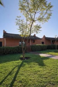 a tree in the yard of a house at Les Orangers De l'Ourika in Marrakesh