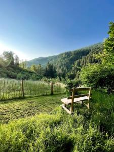 a wooden bench sitting in the middle of a field at Arriach Apartments in Arriach
