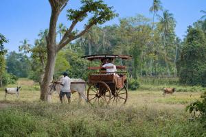 two people in a horse drawn carriage in a field at Welpalla Signature in Welpalla