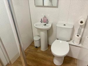 a white bathroom with a toilet and a sink at The Milking Parlour in Aberystwyth +21 photos