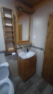 a small bathroom with a sink and a toilet at Cabaña Mailin II in Uspallata