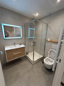 a bathroom with a shower and a toilet at Studio neuf au calme proche Grenoble in Saint-Ismier