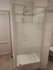a shower with a glass door in a bathroom at Apartment For You in Hameln +22 photos