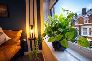 a vase sitting on a window sill next to a plant at Preston Central in Preston
