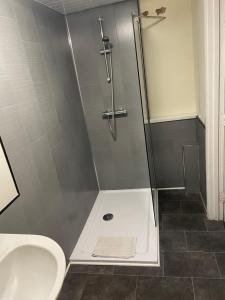a bathroom with a shower with a sink and a toilet at Azalea apartments top floor in Sunderland