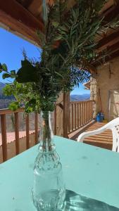 a glass vase with a plant in it on a table at Allotjaments rurals Can Punti in Vallfogona de Ripolles