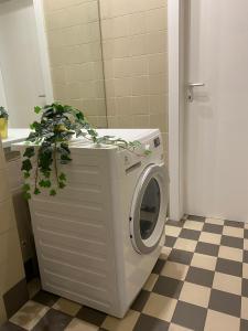 a washing machine in a bathroom with a plant at Viva Accomodation in Bergamo