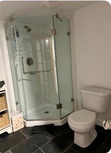 a bathroom with a shower and a toilet at Studio moderne et tranquille in Montreal