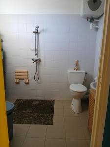 a bathroom with a toilet and a shower stall at Ti Coco Vanni Studio Sea View in Belle-Allée +21 photos