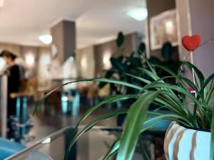 Apgyvendinimo įstaigoje Hotel Giada viešintys svečiai