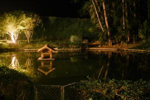 a small house in the middle of a pond at night at Pousada Tucano Do Cuiabá in Itaipava