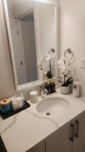 a bathroom with a white sink and a mirror at Hebzibah's Luxe in Prince George
