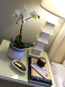a table with a lamp and a plant on it at Hollywood Hotel in Los Angeles