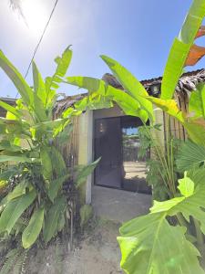 a house with a door in the middle of some plants at Jaydy Guest House in General Luna +23 photos