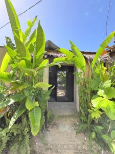 a door of a house with a bunch of green plants at Jaydy Guest House in General Luna