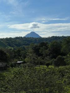 a mountain in the middle of a forest with trees at Cabaña 3 venado in Venado +10 photos