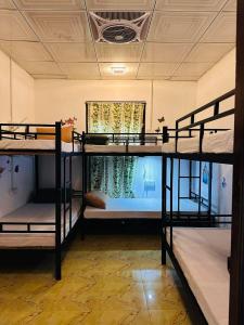 a room with three bunk beds in it at R BackPacker Hostel in Ahangama