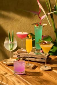 a group of different drinks on a wooden table at THANYAWANA Glamping Tents in Khao Sok National Park +30 photos
