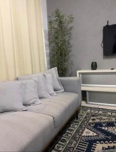 a living room with a couch and a tv at Estadia central bh in Belo Horizonte