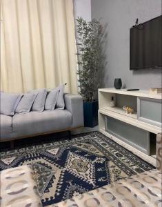 a living room with a couch and a tv at Estadia central bh in Belo Horizonte