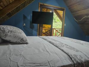 a bed in a blue room with a window at The Pause EcoCabin Bocas del Toro in Bocas Town