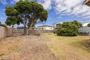a tree in a yard next to a fence at Surf Beach Remote Retreat in Surf Beach +7 photos