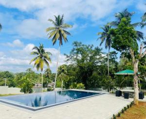 a swimming pool with palm trees in the background at Villa Indeewara in Welipenna East