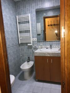 a bathroom with a sink and a toilet and a mirror at Apartamentos Domus in Sierra Nevada