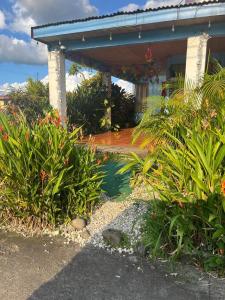 a house with a bunch of plants in front of it at GuestHouse Detours CR in Fortuna