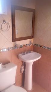 a bathroom with a sink and a toilet and a mirror at Complejo de Cabañas Tierra de Luna in Potrerillos
