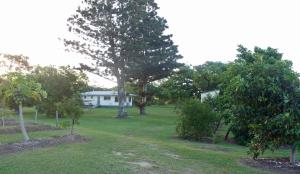 a yard with trees and a house in the background at Elliot River Retreat - Pet Friendly in Guthalungra