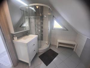 a bathroom with a sink and a shower and a toilet at Ana`s place in Celje +28 photos