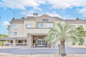 a hotel with a palm tree in front of it at Comfort Inn & Suites Montgomery East Carmichael Rd in Montgomery