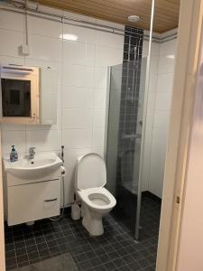 a bathroom with a toilet and a sink and a shower at Kangaskartano Yksiö in Keitelepohja