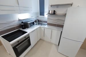 Kuchyňa alebo kuchynka v ubytovaní BpR Oktogon Center Apartment