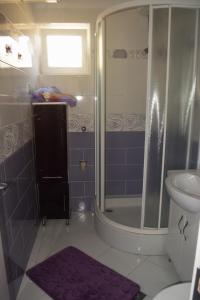 uma casa de banho com um chuveiro e um lavatório. em Apartment Vesna em Ravni