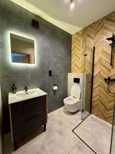 a bathroom with a toilet and a sink and a shower at Tatrini in Białka Tatrzańska