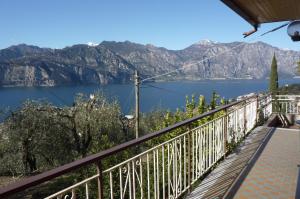 Príroda v okolí apartmánu + 29 fotografií