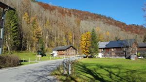 een huis aan de kant van een weg naast een berg bij Haus Jelini in Schnepfau