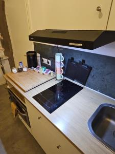 a kitchen with a counter top and a sink at Die kurPark Eule in Mölln
