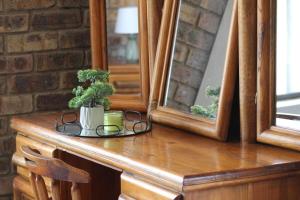 a table with a mirror and a plant on it at Little Amanzi in Pienaarsrivier