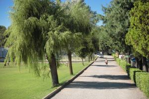 a person riding a bike down a tree lined sidewalk at Lido Verbano Camping Village in Castelletto sopra Ticino
