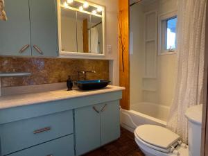 a bathroom with a blue sink and a toilet at The Moose Twillingate Island in Twillingate +9 photos