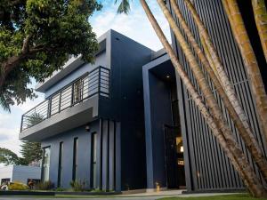 a modern house with a black facade and a palm tree at 13 on Tenth in Walmer