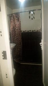 Bilik mandi di Archil and Nino Gigauri Guest House